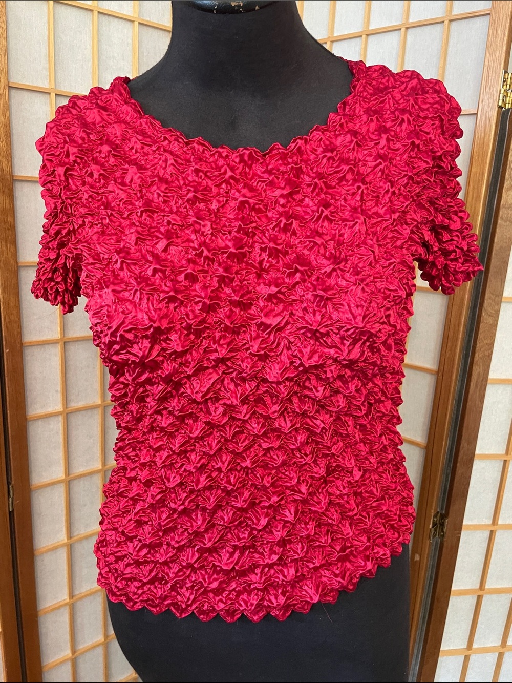 Y2K Crinkle Expanding Top Deadstock Shirt One Size